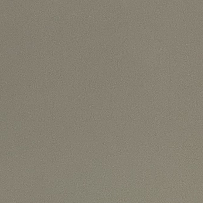 都市魅影 ——珠光香槟（亮光）