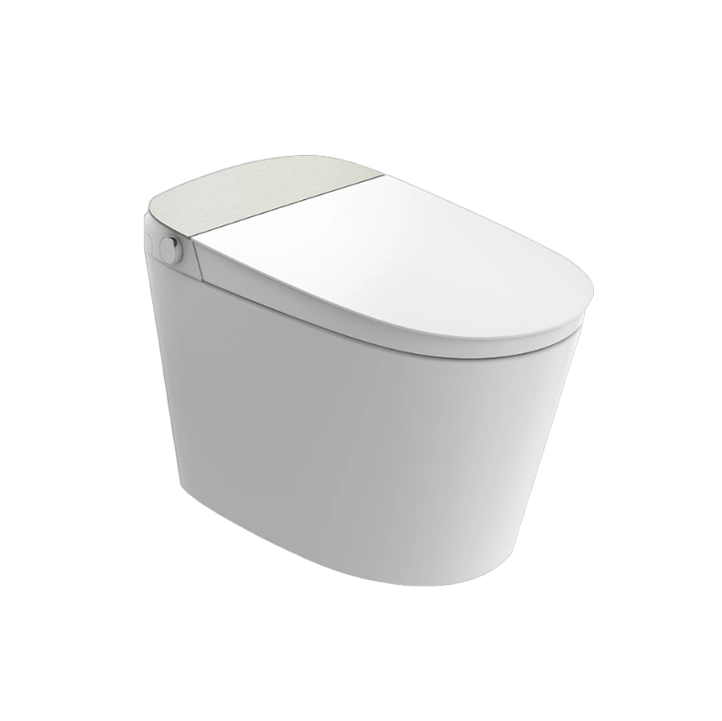 水箱款一体智能马桶-DZW16DM